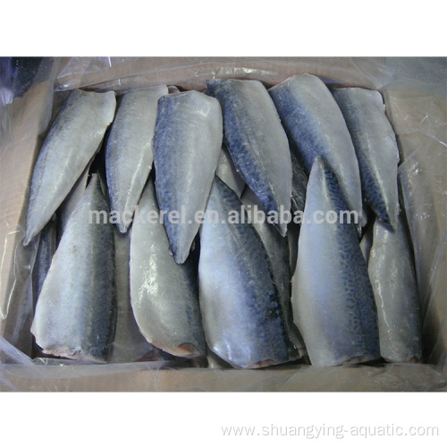 Chinese Export Frozen Pacific Mackerel Fillets For Wholesale